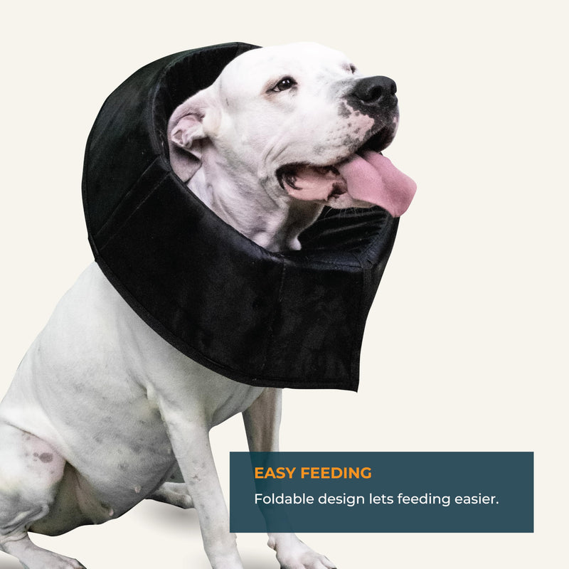 Dog Cone Collar Adjustable After Surgery, Protective Soft Dog and Cat Cone, Elizabethan Collar for Dogs and Cats, Comfortable Dog Cone, Adjustable Cat Cone (Black, XXL [Neck Girth: 20.4"-24.4"]) Black XXL [Neck Girth: 20.4"-24.4"] - PawsPlanet Australia
