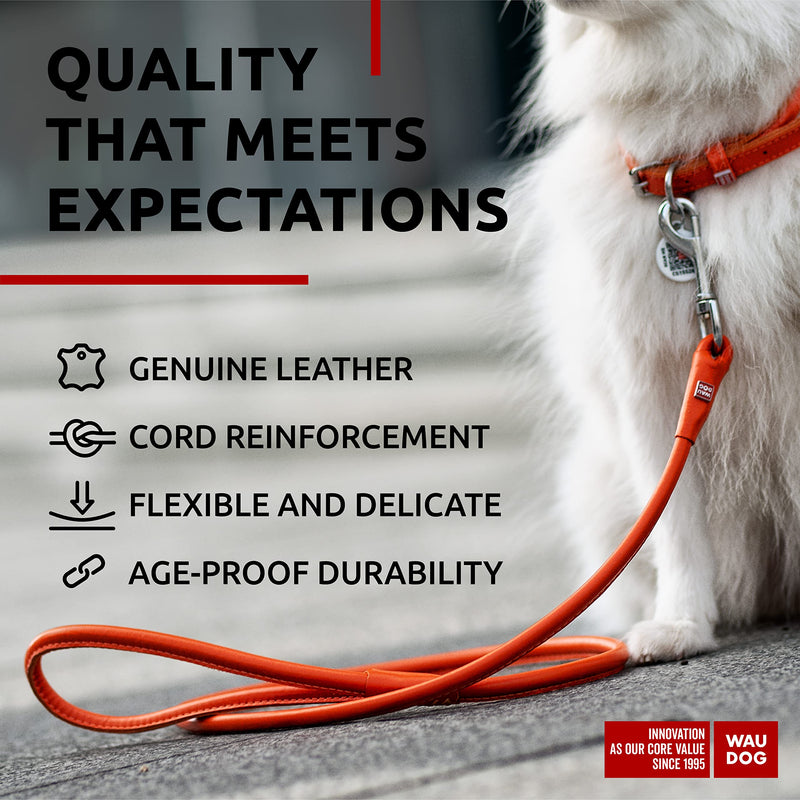 WAUDOG Rolled Leather Dog Leash 4Ft * 0.3 in for Small Medium and Large Dogs - Heavy Duty Leather Puppy Leash for Outdoor Walking Running Training - Strong Dog Leashes for Large Breed Dogs (Orange) Orange - PawsPlanet Australia