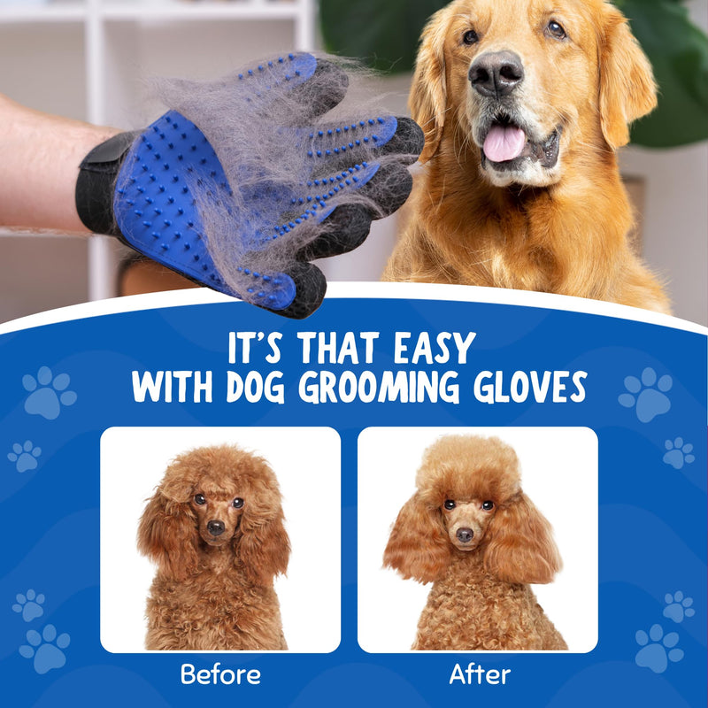 Premium Dog Grooming Kit – Tea Tree Oil (1%) Anti-Itch Shampoo, Self-Cleaning Slicker Brush & Grooming Glove – Skin Support & Coat Maintenance System - PawsPlanet Australia