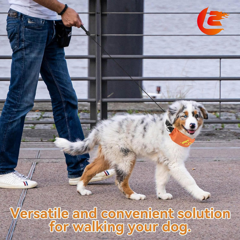 Lesypet 2 in 1 Retractable Dog Leash Collar, Hands-Free Dog Walking Collar with Retractable Leash for Medium Large Breed Dog Outdoor, Orange L - PawsPlanet Australia