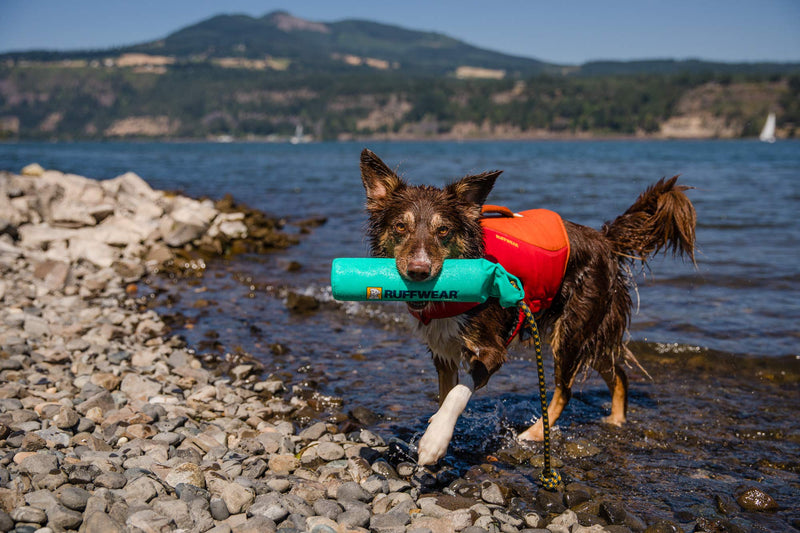 Ruffwear, Lunker Durable Floating Toy for Dogs Aurora Teal