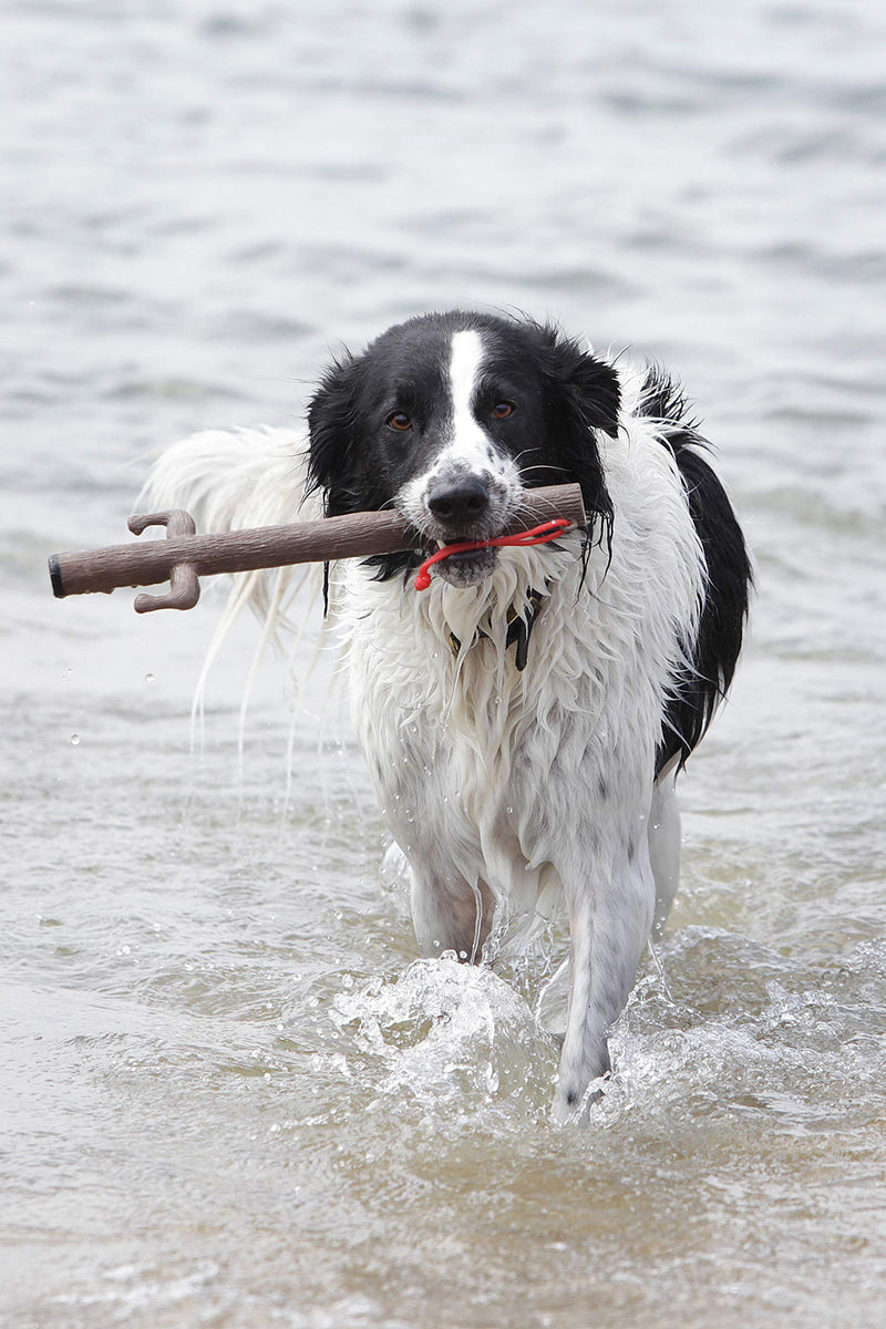DOOG - The Supersticks Tree-Mendous Twig Fetch Toys Safer Than Real Sticks, Splinter Free, Glow-in-The-Dark Eyes, Floats, Easy to Clean - PawsPlanet Australia