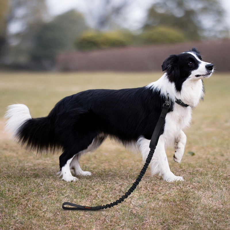 EXCELLENT ELITE SPANKER Military Bungee Dog Leash Elastic Leads Rope with 2 Padded Control Handle for Medium and Small Dogs (MCP) MCP - PawsPlanet Australia