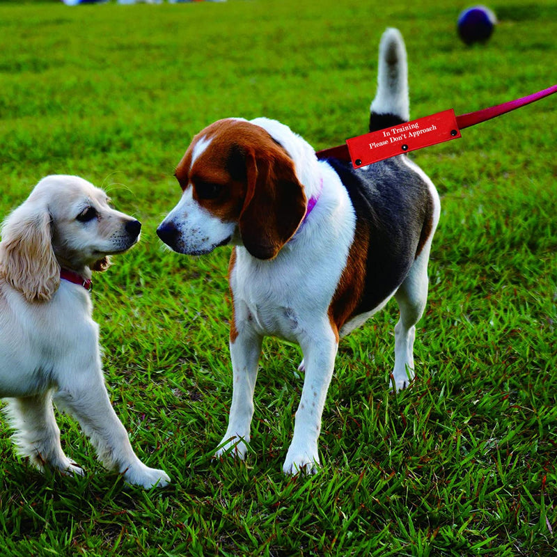 Funny Dog Leash Sleeve in Training Please Don't Approach Dog Leash Wrap Wrap Alert Hanging ID Patch Tag Don't Approach-Sleeve - PawsPlanet Australia