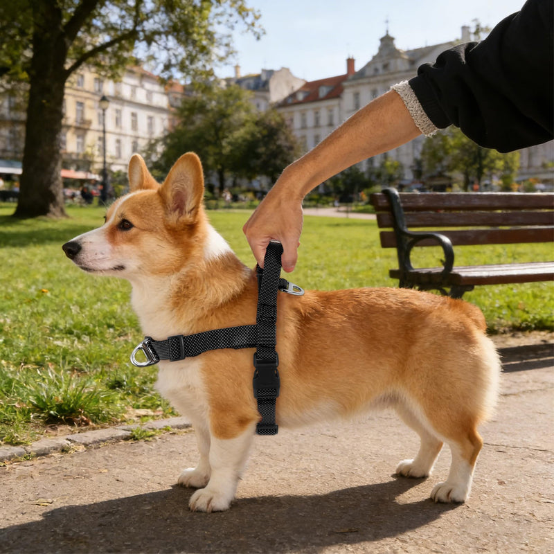 Annchwool No Pull Dog Harness with Front Clip and Easy Control Handle-Belly & Chest Adjustable Dog Harness and Leash Set for Medium Large Dogs-Heavy Duty Vest Harnesses Easy for Walking(Black,L) Black L - PawsPlanet Australia