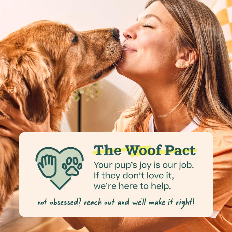 WOOF Bully Sticks Dog Treats - Chew Sticks for Dogs - Long-Lasting Dog Chew Treats - Made with Free-Range, Grass-Fed Beef - 6" Sticks - 5pk 6 Inch (Pack of 5) - PawsPlanet Australia