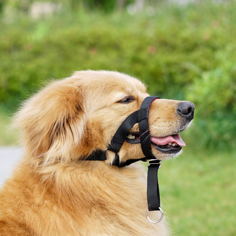 ILEPARK Dog Head Collar with Safety Strap, Head Harness for Dogs to Stop Pulling, Adjustable and Easily Control (M, Black) M