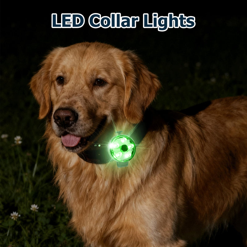 2-Pack Dog Collar Light, 8 Modes Rechargeable Dog Light with Durable Silicone Band, IPX7 Waterproof LED Pet Safety Lights for Nightwalking, Hiking, Running 2 - PawsPlanet Australia