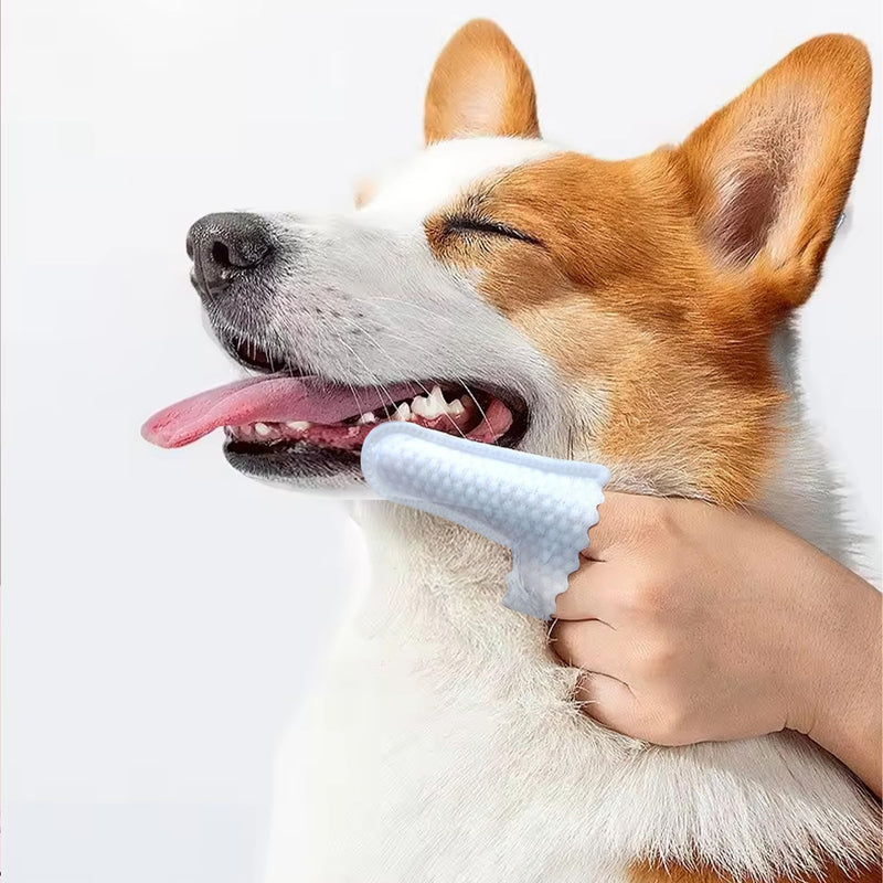 H&H Pets Disposable Finger Toothbrush Dental Dry Wipes -Ultra Soft, Fragrance Free, Hypoallergenic, 20 Count - PawsPlanet Australia