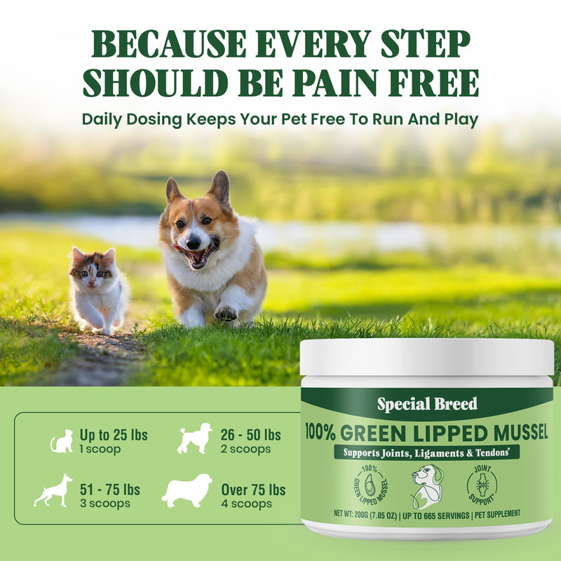 Special Breed Green Lipped Mussel Powder for Dogs & Cats - 100% New Zealand Green Lipped Mussels - Natural Hip & Joint Supplement for Joints, Tendons, Ligaments, Muscles - 200 Grams - 665 Servings