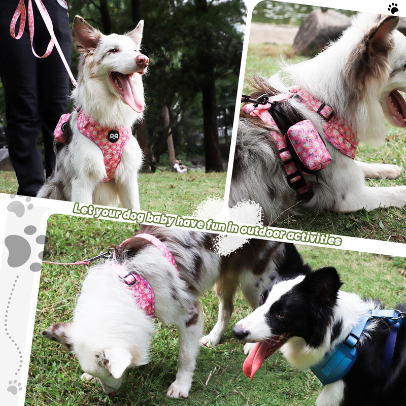 QQPETS Dog Harness Collar Leash with Poop Bag Holder 4 PCS Set, Adjustable No Pull Soft Mesh Padded Vest for Small Medium Large Pet Puppy Outdoor Walking (Daisy Pink, M (Chest 17”-24”)) M (Chest 17”-24”) Daisy Pink - PawsPlanet Australia