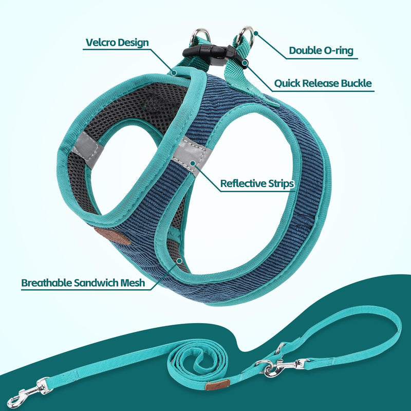 Dog Harness with Multifunction Dog Leash,No Pull Reflective Step-in Harness for Soft Adjustable No Choke Escape Proof,Easy Walk Dog Harness for Puppy,Small Dogs (Blue&Green, XXS) XX-Small Blue&Green - PawsPlanet Australia