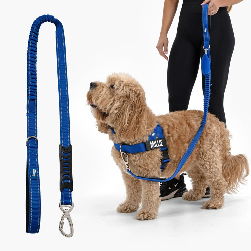 DF Co. Bungee Dog Leash | Strain Free & Shock Resistant for Control | Neoprene Padded Handle, Heavy-Duty Carabiner Clip, and D-Ring | Classic Blue, Size Regular - PawsPlanet Australia