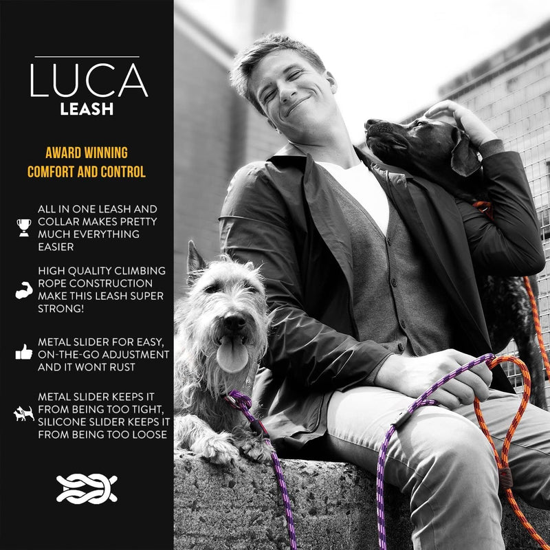 EZYDOG Luca Lead | 1.7m, Climbing Rope, All-In-One, One-Size-Fits-All, Easy to Slip On, No Harness or Collar Needed (Blue) Blue
