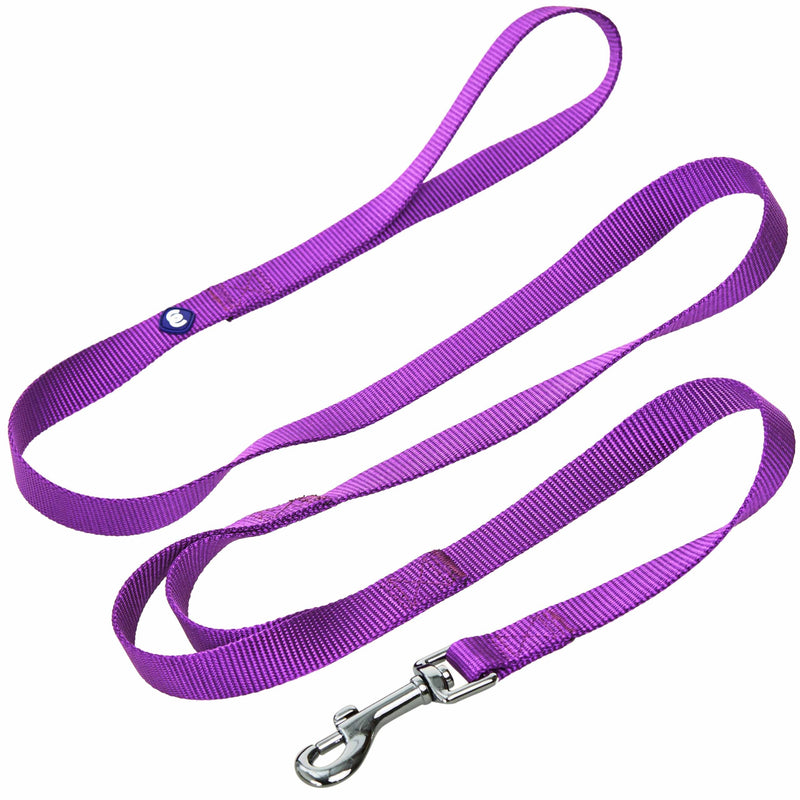 Blueberry Pet Essentials Double Handle Dog Leash for Traffic Control | 5ft. x 3/4" Medium Dog Leash | Classic Dog Leash with Two Handles for Dogs That Pull | Nylon 2 Handle Dog Leash in Dark Orchid Double Handle Leash - 5' * 3/4" (Pack of 1) - PawsPlanet Australia