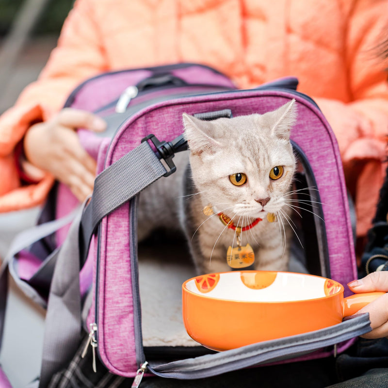 Mr. Pen- Pet Carrier, Pink, Soft-Sided Cat & Dog Carrier, Bag for Travel - PawsPlanet Australia
