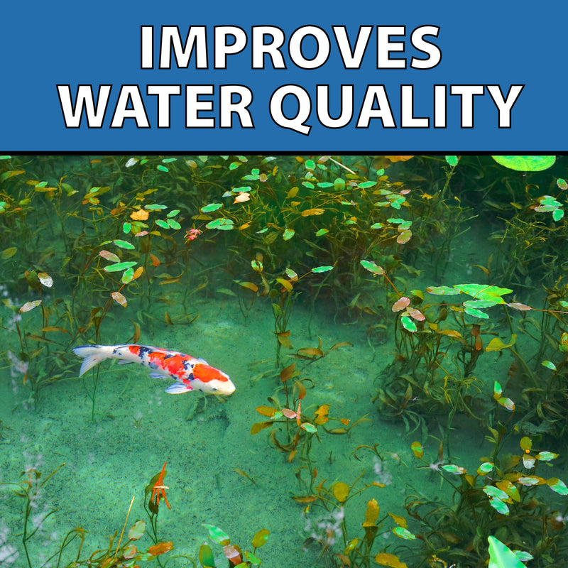CrystalClear MuckOff, Natural Pond Muck Treatment, Water Garden, Fountain & Bird Bath Sludge Remover, Living Beneficial Bacteria Clarifier with Enzyme, Fish, Aquatic Animal, & Pet Safe, 24 Tablets