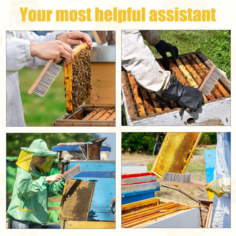 Beekeeping Brush for Beekeepers, Soft Bristles Cleaning Brush with Ergonomic Wooden Handle - Gentle Cleaning Tool for Durable Use, Bee Hive Supplies Beekeeping Equipment for Bee Keepers - PawsPlanet Australia