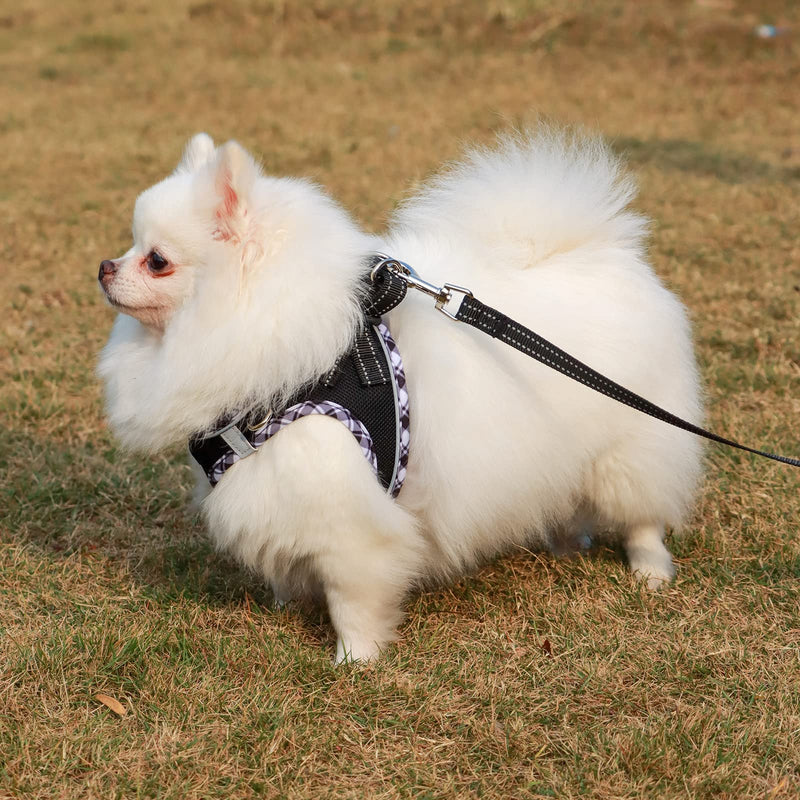 AMTOR Small Dog Harness with Leash Set, No Escape Easy Walk Puppy Harnesses for Training Walking, Step-in Reflective Soft Dogs Vest for XS S Medium Extra-Small Large Sized Dog(S,Black/White checkered) - PawsPlanet Australia