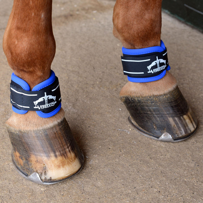 VEREDUS - Fetlock Protection PRO WRAP MAGNETIK black Medium - PawsPlanet Australia