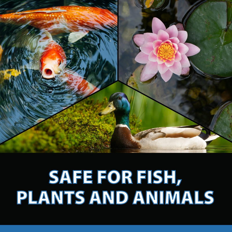 CrystalClear Barley Extract Pond Treatment – Natural Water Clarifier for Fountains, Water Gardens & Koi Ponds, Clears Cloudiness, Fish & Plant Safe, 16 Ounces 16 Oz - PawsPlanet Australia