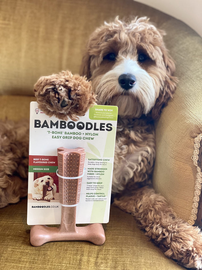 Bamboodles Large Dog Chew toy - Peanut Butter flavour - PawsPlanet Australia