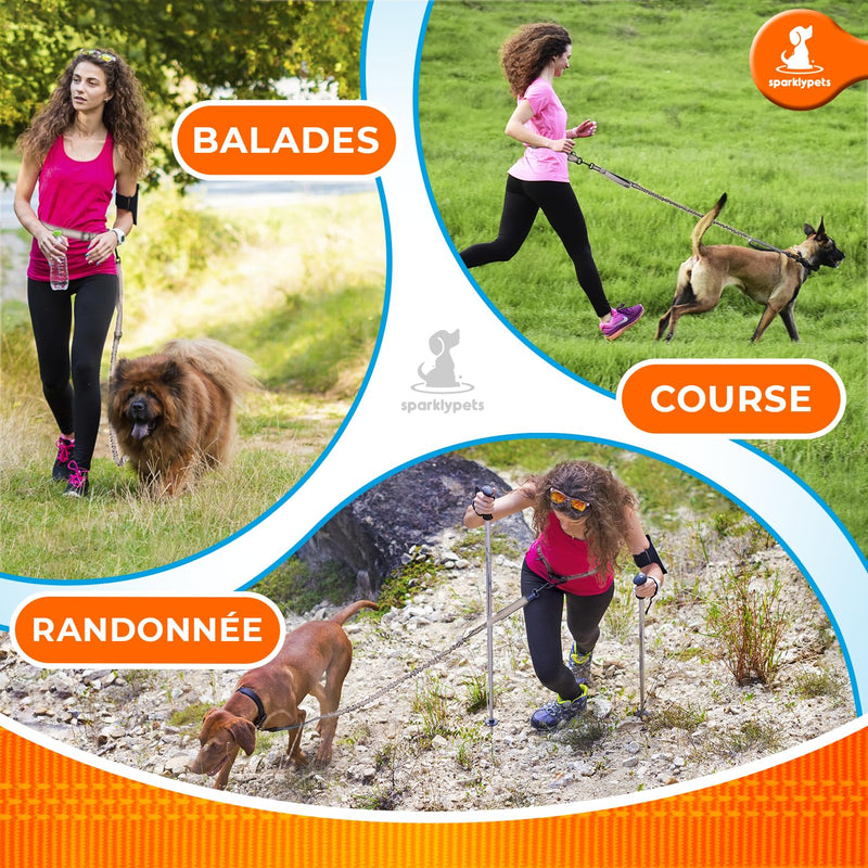 SparklyPets Hands-Free Dog Lead for Medium and Large Dogs – Professional Harness with Reflective Stitches for Training, Walking, Jogging and Running Your Pet (Brown, For 1 Dog) Brown