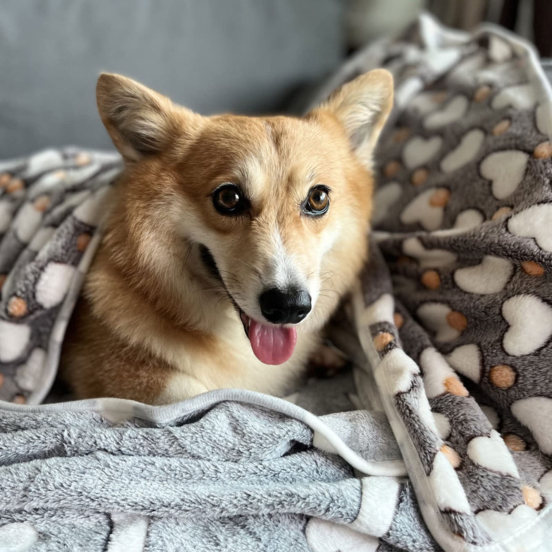 1 Pack 3 Puppy Blankets for Large Dogs Super Soft Warm Sleep Mat Grey Cute Print Fluffy Fleece Pet Throw Dog Blankets for Medium Dogs Cats,Star&Bone&Love-Large(40"x30") Large(40"x30") Bone/Love/Star - PawsPlanet Australia