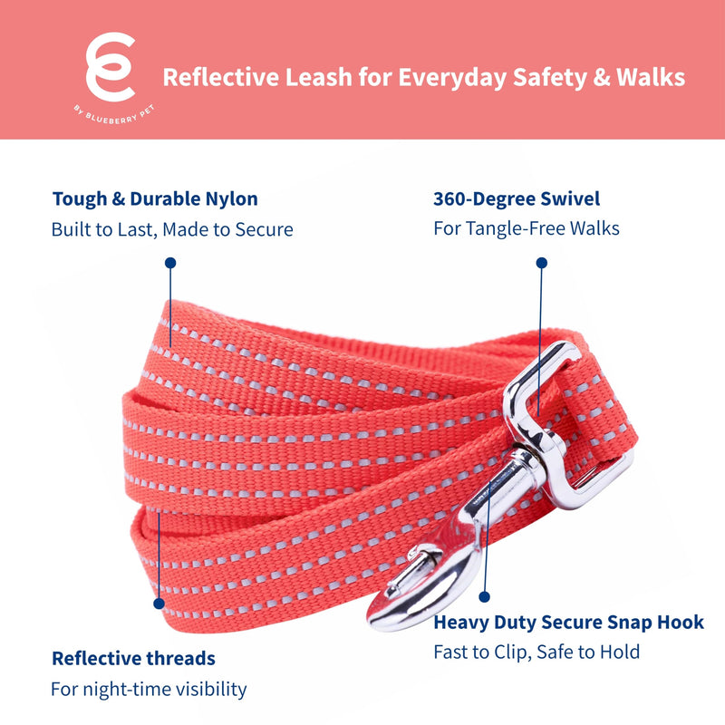 Blueberry Pet Essentials Reflective Better Basics Dog Leash, Fiery Red, 5 ft x 5/8", Small, Leashes for Dogs - PawsPlanet Australia