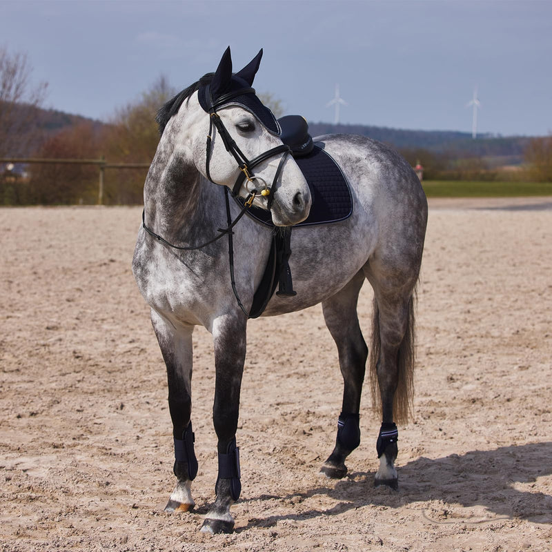 HORZE Adepto Fetlock Boots - Dark Navy - Horse