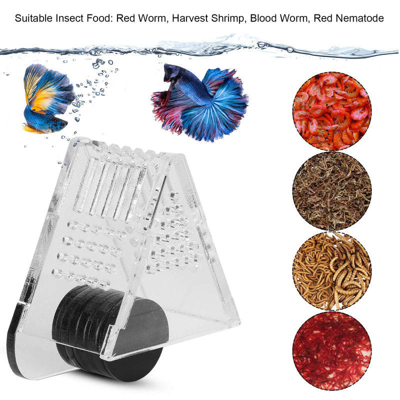 Aquarium Transparent Acrylic Feeding Container Fish Tank Cone Feeder with Magnetic Suction Fish‑Box Feeder for Aquarium Accessories - PawsPlanet Australia