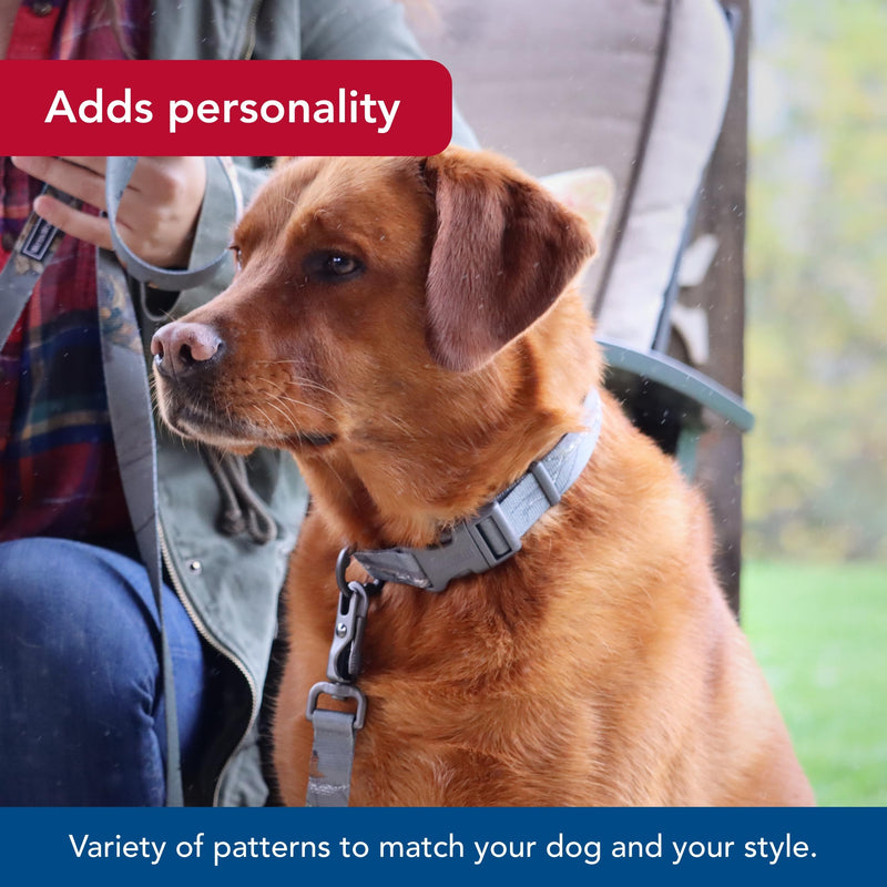 Water & Woods Patterned Dog Leash by Coastal Pet - Strong Dog Leash - Scissor Snap Closure - Fray-Resistant Nylon - Stylish Patterns - Country Roots Evergreen, 1" x 6'