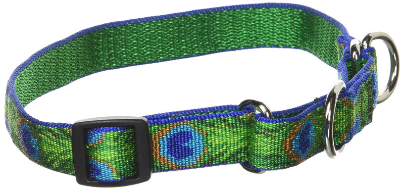 LupinePet Originals 3/4" Tail Feathers 14-20" Martingale Collar for Medium and Larger Dogs 3/4"W; 14-20" Neck - PawsPlanet Australia