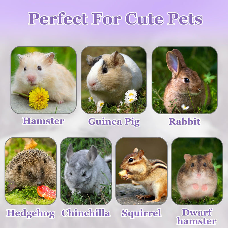 Sukh Herb Bedding Habitat Decor - Natural Flower Habitat Decor Natural Hamster Bedding Mate Natural Hamster Sprays Hamster Cage Decor for Guinea Pig,Dwarf Hamster,Golden Bears Or Other Small Pets - PawsPlanet Australia