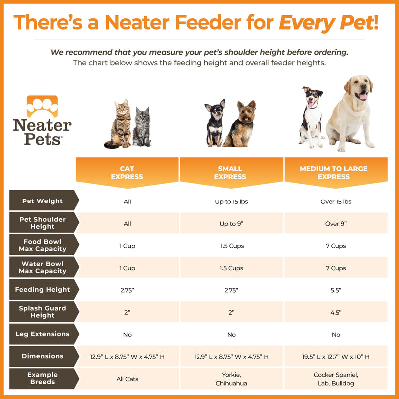 Neater Feeder Express Mess Proof Cat Bowls Elevated, No Spill Feeding Station, Stainless Steel Dishes for Food and Water, Raised Bowls for Indoor Cats, No Fatigue Whisker Friendly Dish, Gunmetal Grey Cat with Regular Bowls