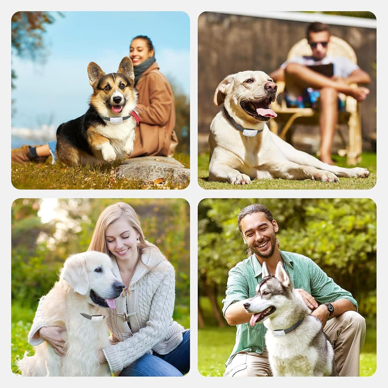 Bark Collar for Dogs - Shock Collar for Large/Medium/Small Dog, Rechargeable Anti Barking Device with 7 Sensitivity Levels & 8 Shock and Vibration Levels, Weatherproof & Durable Bark Collar for Dogs - PawsPlanet Australia