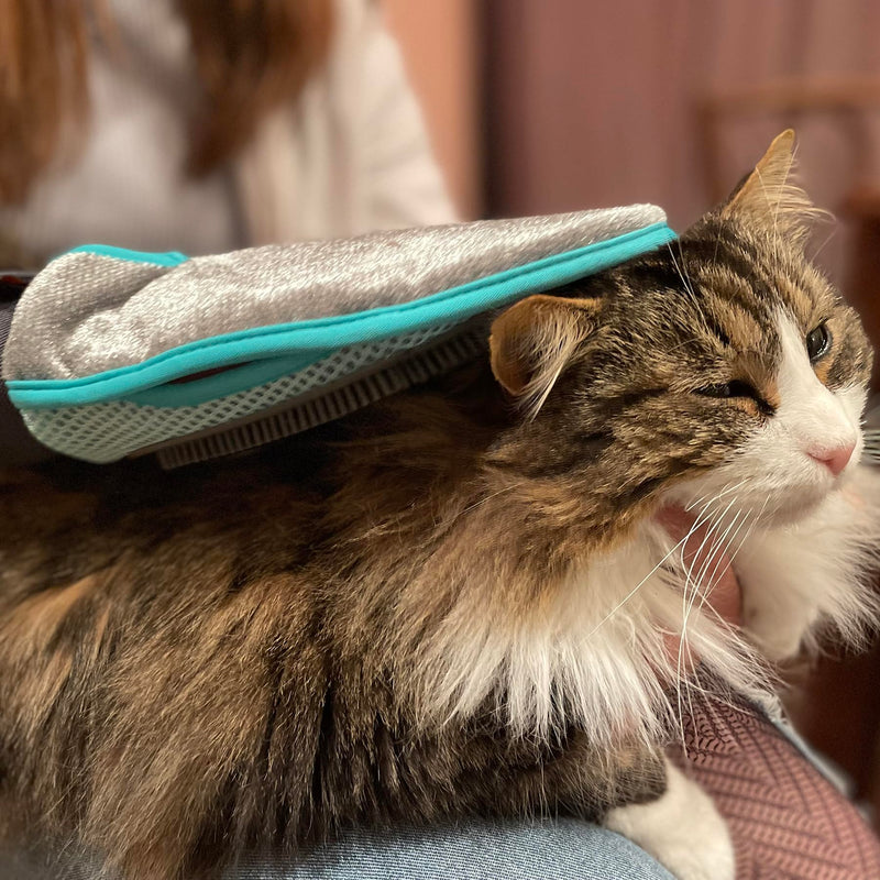 2-Sided Pet Grooming Glove, Cleans and Removes Hair