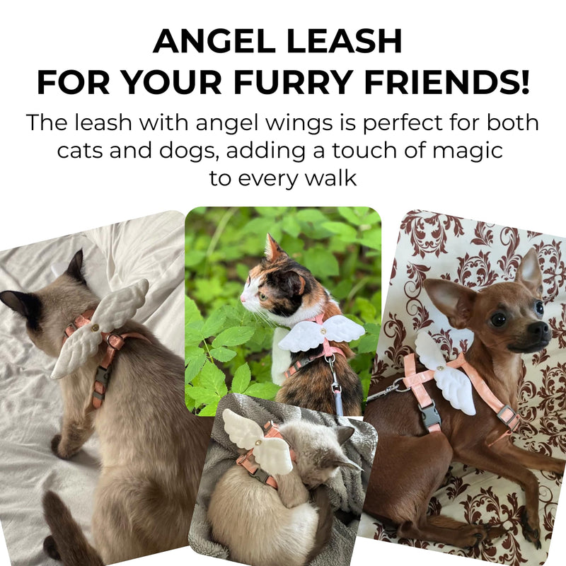 Angel Wings Pet Harness and Leash Set for Dogs & Cats, Adjustable I-Shaped Chest Strap, Padded Anti-Break Rope - PawsPlanet Australia