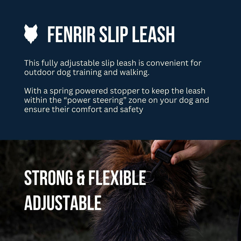 Fenrir Slip Leash 1.4m Professional Dog Training Lead To Stop Pulling, Perfect For Walks, Easy To Use, Spring Loaded Stopper, Light Weight And Durable Black - PawsPlanet Australia