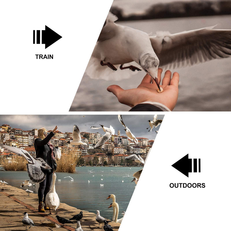 balacoo 2pcs Parrot Anti-Scratch Shoulder Arm Protector Multi-Purpose Anti-bite Shoulder Pad Diaper Shawl Protective Arm Guard for Handling Holding Bird Pet Cat Dog (Rosy) Army Green - PawsPlanet Australia