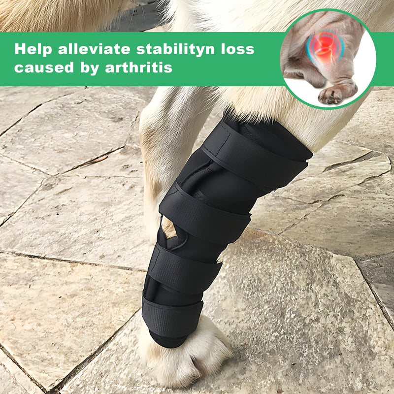 Ankle Bandage for Dogs, Pack of 2 Leak Protection, Dog Hind Leg, Dog Bandage for Wrap, Wound, Injury and Sprain Healing, Dog Leg Bandage for Front and Rear Legs, M