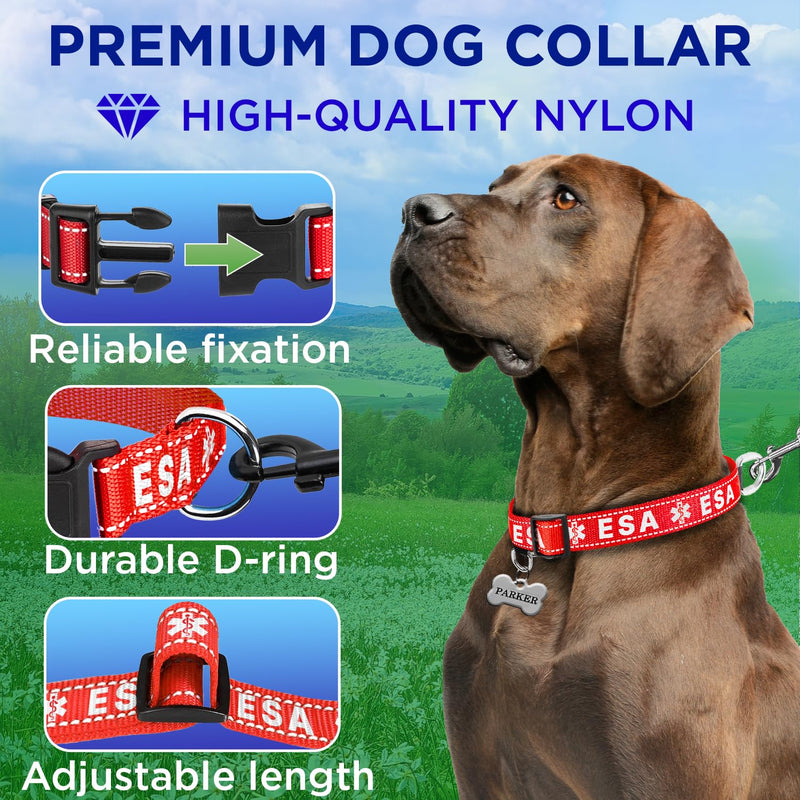 TECEUM Reflective Pet Collar – Red - ESA – XL – Basic Nylon Dog Collar – Quick Release Buckle – Fits Small, Medium and Large Dogs, Puppies, Cats – ESA & Service Dog Options