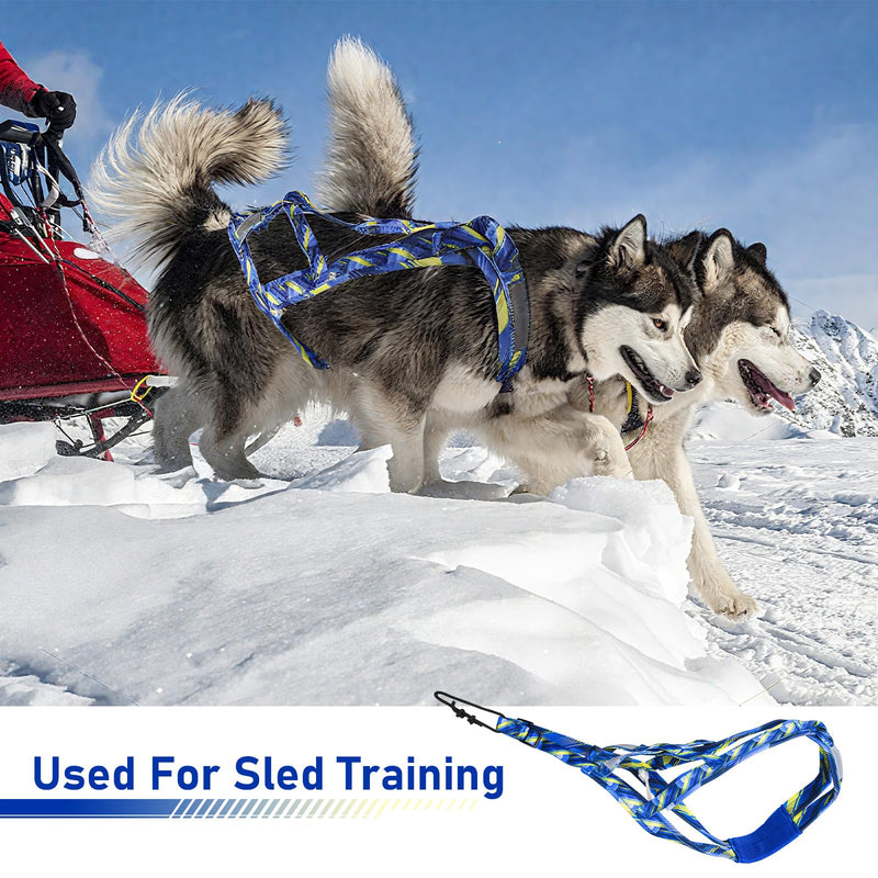 Dog Pulling Harness, Sled Dog Harness for Running, Pull Dogs Leash is Suitable for Cross-Country Running, Dogs Sports, Bicycle Traction, Ski Traction, Sled, Sled Dog 25.5kg (Blue, M) Blue - PawsPlanet Australia