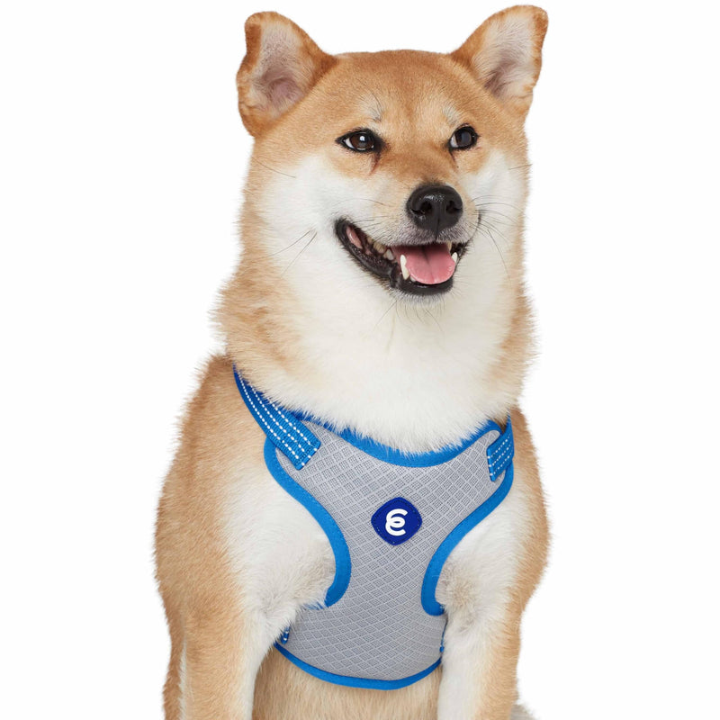 Blueberry Pet Essentials Back to Basics Reflective Dog Harness Vest, French Blue, Medium, Adjustable Harnesses for Dogs Medium (Pack of 1) - PawsPlanet Australia