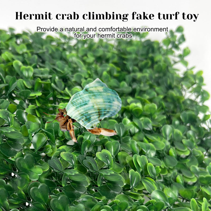 Rainmae Hermit Crab Climbing Toys, Faux Grass Mat Fake Turf Hermit Crab Climbing Wall, Plastic Aquarium Plants Lawn Hermit Crab Supplies Climbing and Hide Toy for Gecko Reptile Lizard 10 x 10 Inch - PawsPlanet Australia