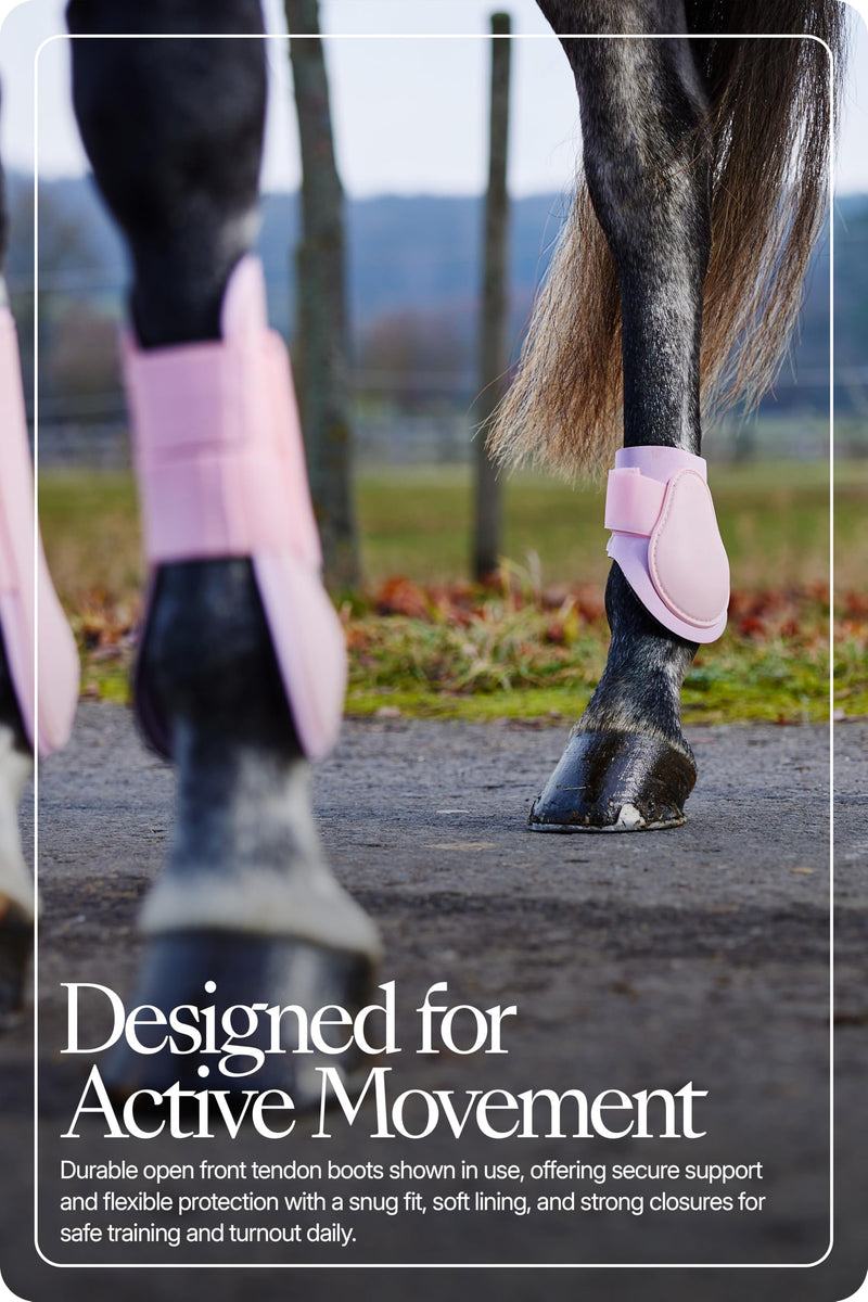HORZE Chicago Protective Horse Tendon Boots - Lightweight Open Front Boots for Jumping, Trail Riding, and Turnout (Pair) - Lady Light Pink - Pony - PawsPlanet Australia