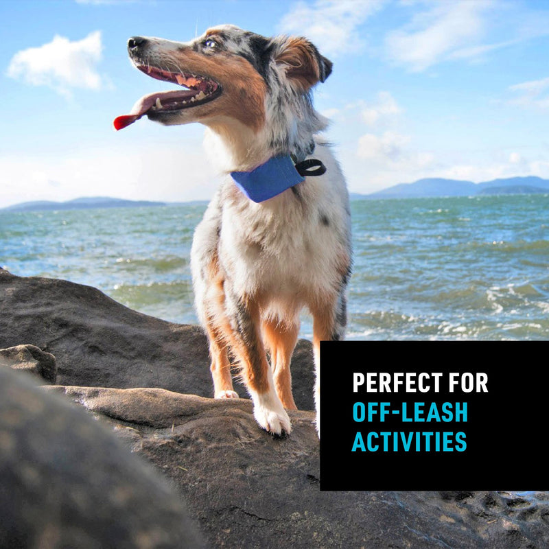 Nite Ize Raddog All-in-One Collar and Leash Combo - Heavy-Duty Dog Collar with Built-in Retractable Leash - 14" to 16" Collar - Blue, Small - PawsPlanet Australia