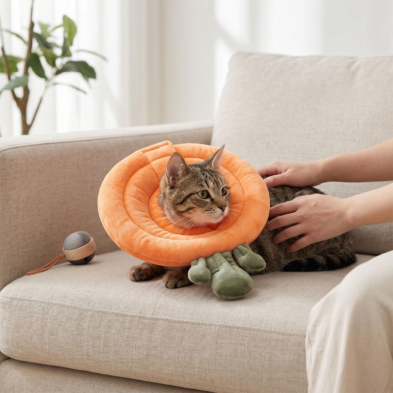 HEEPDD Soft Cotton Cat Collar, 28 x 27 cm, Adjustable, Prevents Licking, Post-Surgical Neck Collar for Kittens, Breathable Elizabethan Style Protective Collar. Orange Carrot