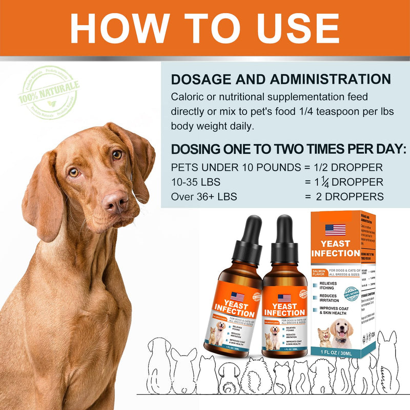 Natural Yeast Infection Treatment for Dogs