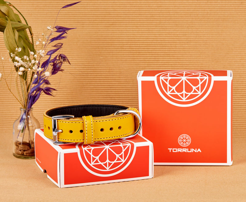 Soft Leather Dog Collar | Dog Collars for Small, Medium and Large Dogs | Durable Heavy Duty Dog Collars X-Large: Neck 19.7"-22.8" Yellow - PawsPlanet Australia